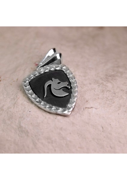 Oğlak Burcu 925AYAR Gümüş Madalyon Kolye Ucu modelleri