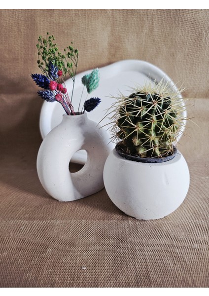 El Yapımı Dekoratif Beton 4'lü Set | Tepsi Donut Vazo Saksı Mumluk | Modern Minimalist Ev Ofis Aksesuarı