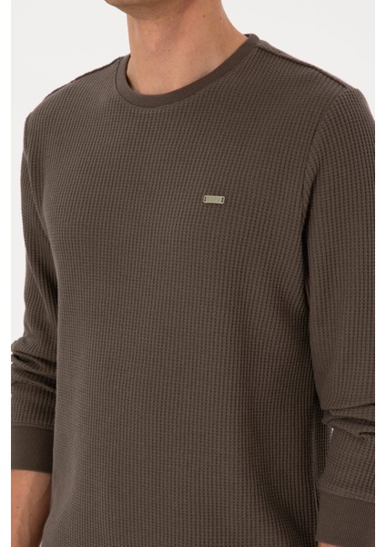 Erkek Vizon Sweatshirt 50316304-VR052