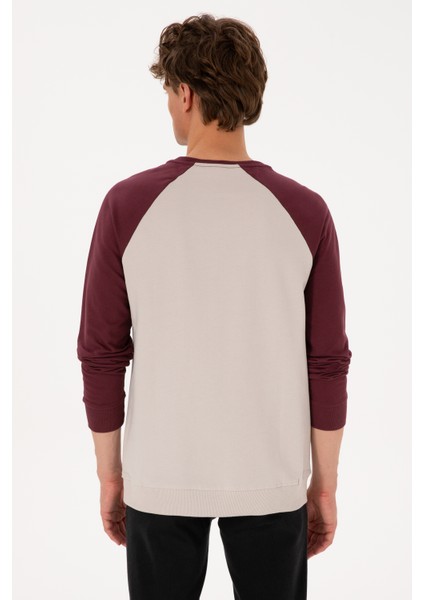 Erkek Plum Sweatshirt 50315420-VR177 indirimleri