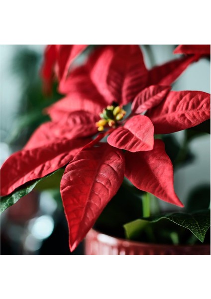 Yapay Bitki, Kırmızı, 12 Cm, Atatürk Çiçeği, Iç-Dış Mekan modelleri