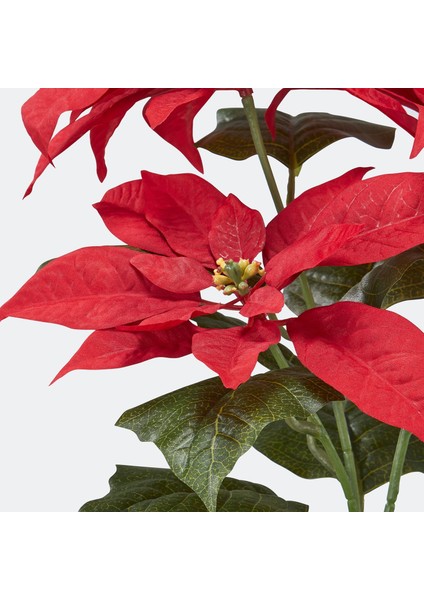 Yapay Bitki, Kırmızı, 12 Cm, Atatürk Çiçeği, Iç-Dış Mekan fırsatları