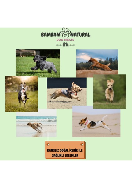 %100 Doğal Dana Akciğer Çubukları 15CM Köpek Ödül Maması 100G | Katkısız, Tahılsız, Yüksek Proteinli Eğitim Atıştırmalığı | Tüm Irklar Için Sağlıklı Doğal Ödül Maması fırsatları