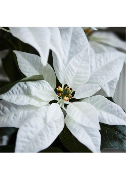 Yapay Bitki, Beyaz, 12 Cm, Atatürk Çiçeği modelleri