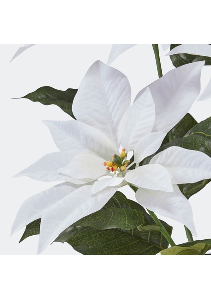 Yapay Bitki, Beyaz, 12 Cm, Atatürk Çiçeği fırsatları