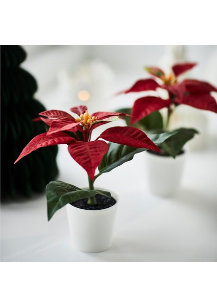 Yapay Bitki, Kırmızı, 6 Cm, Atatürk Çiçeği, Iç-Dış Mekan fiyatları