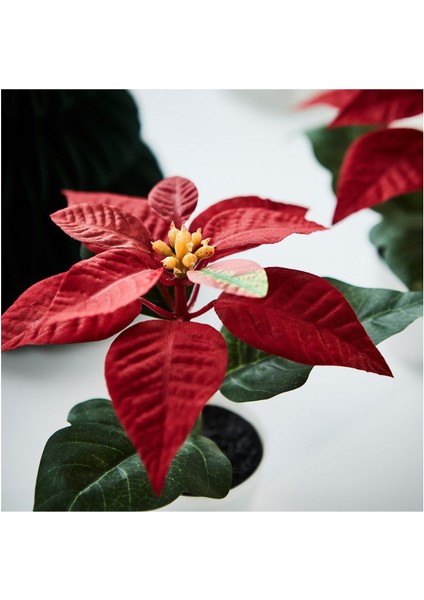 Yapay Bitki, Kırmızı, 6 Cm, Atatürk Çiçeği, Iç-Dış Mekan modelleri