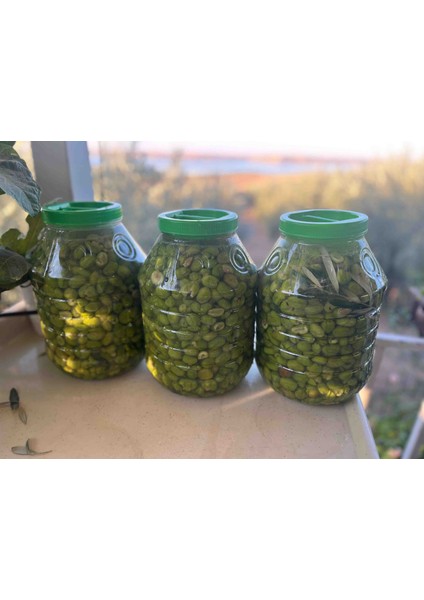 Salumura El Yapımı Yeşil Zeytin 3 kg fiyatları