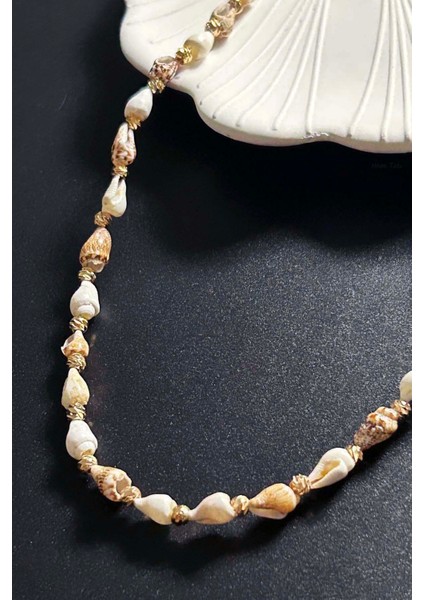 Deniz Kabuğu Kolye 425, Bej - Beyaz