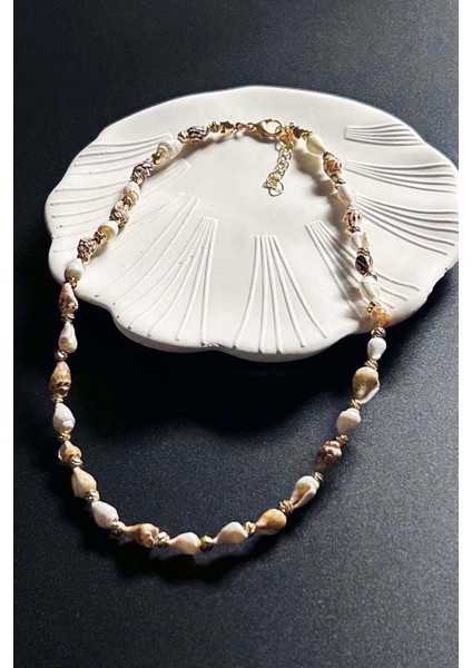 Deniz Kabuğu Kolye 425, Bej - Beyaz