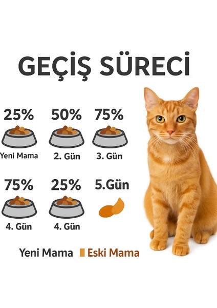 Hamsili Somonlu Yetişkin Kedi Maması 2kg modelleri