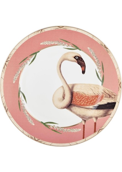 Amazonico Pasta Tabağı 6 Parça 21 cm