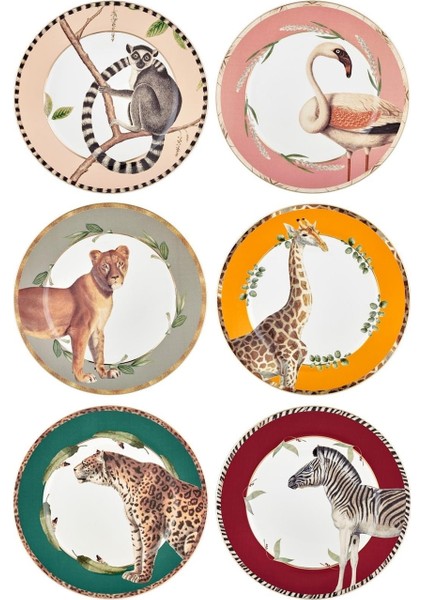 Amazonico Pasta Tabağı 6 Parça 21 cm fiyatları