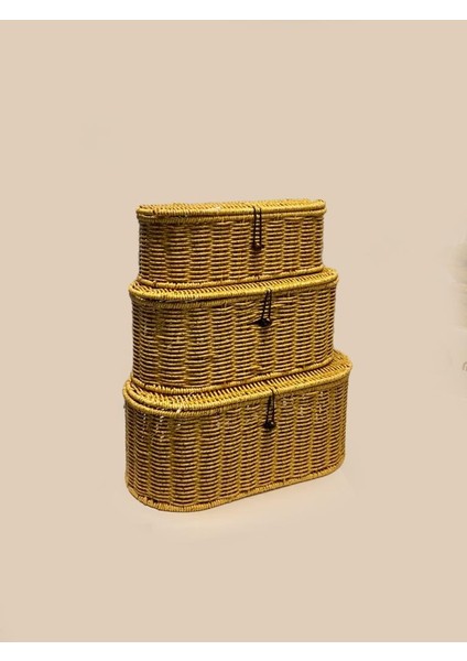 Oval Kapaklı 3'lü Sentetik Hasır Sepet/organizer
