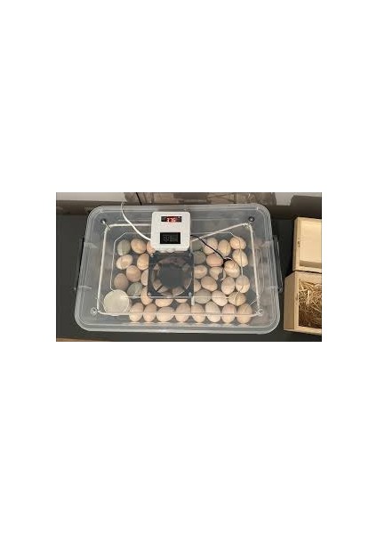 Kuluçka Makinası Rezistansı 330 cm 220 Volt 150 Watt fırsatları