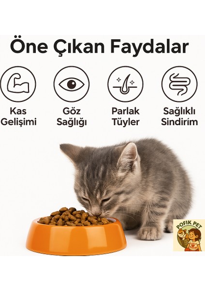 Plus Tavuklu Yavru Kedi Maması 1 kg x 2 (2 Kilo) 2 Li Fırsat Paketi modelleri