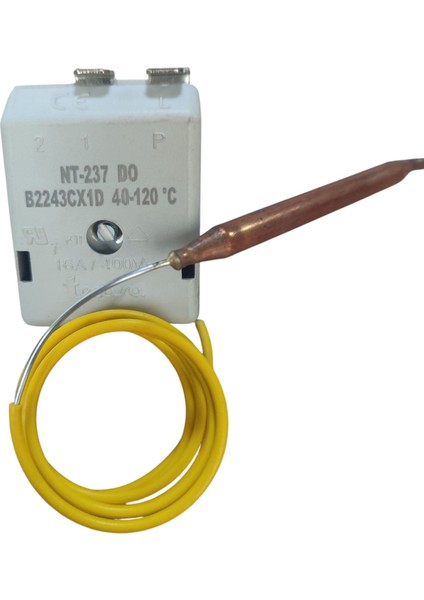 Tecasa Gazlı Termostat 40-120 Derece Adet modelleri