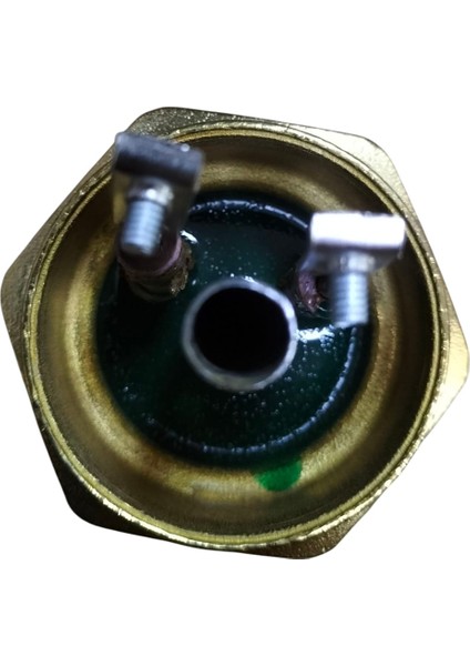 11/2'' 220 Volt 3000 Watt Krom Pot Isıtıcı Adet modelleri