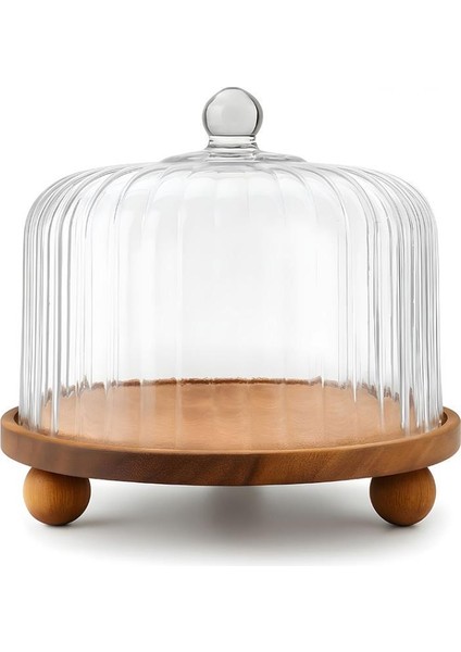 Homes Akasya Standlı Cam Fanus 31X27CM