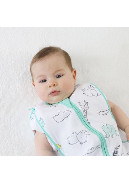 Uyku Gurusu 0.3 Tog Zoo Zoo 0-36 Ay indirimleri