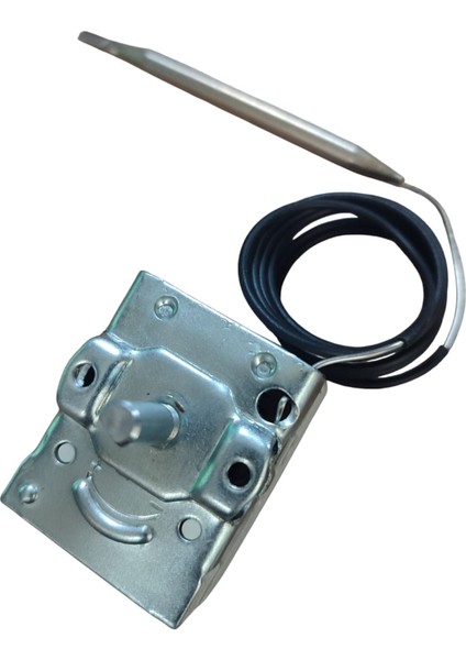 Tecasa Gazlı Termostat 30-90 Derece Adet fiyatları