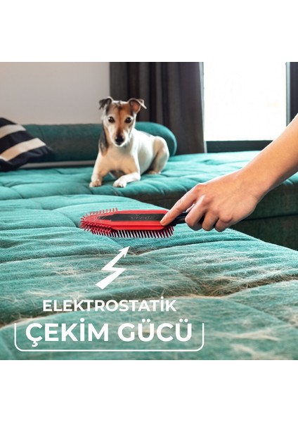 Pet Pro Elektrostatik Fırça fiyatları