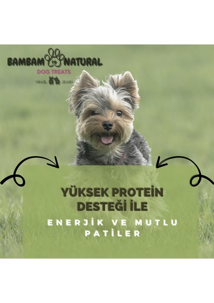 %100 Doğal Kurutulmuş Tavuk Ayağı 100gr Köpek Ödül Maması | Glukozamin ve Protein Kaynağı, Katkısız & Doğal Çiğneme Atıştırmalığı modelleri