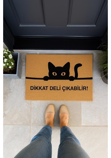 Kedili Paspas Kapı Önü Paspası Kitty Kapı Önü Kaymaz Paspas Toz Alıcı Kapı Paspas fiyatları