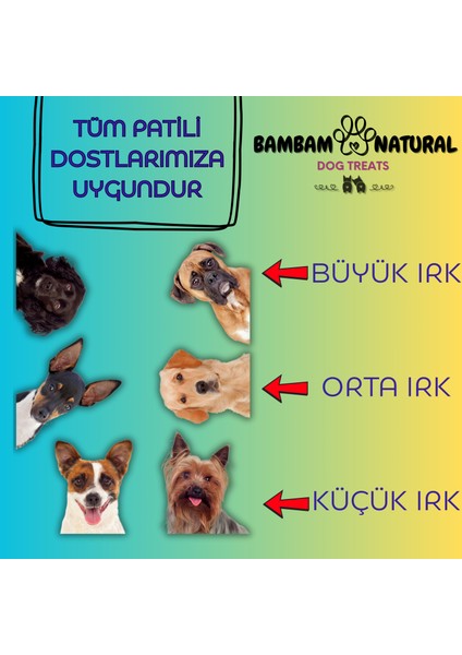 %100 Doğal Dana Gırtlak Parçaları Köpek Ödül Maması 100gr | Katkısız & Yüksek Proteinli Doğal Çiğneme Atıştırmalığı