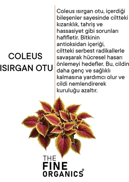 Doğal Isırgan Otlu Tüy Inceletici ve Nemlendirici Bakım Sütü, 50 ml modelleri