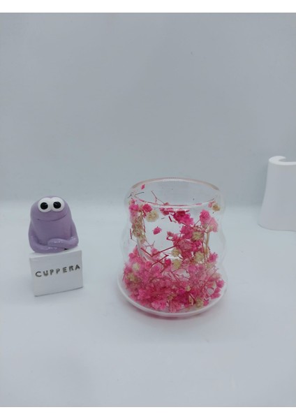 Isıya Dayanıklı Canlı Kurutulmuş Çiçekli Çift Cidarlı Cam Kahve Kupası fiyatları