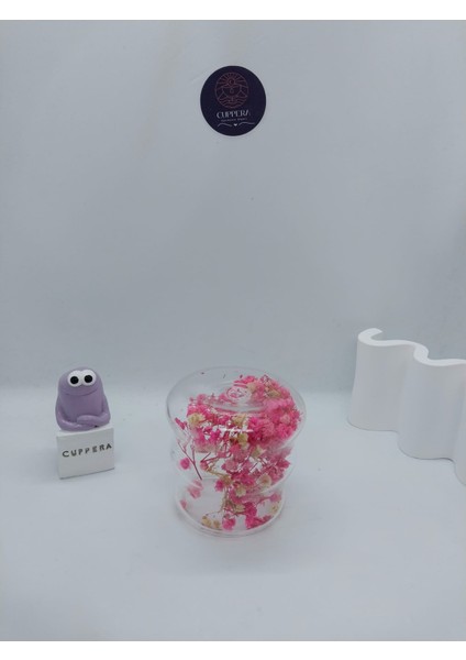 Isıya Dayanıklı Canlı Kurutulmuş Çiçekli Çift Cidarlı Cam Kahve Kupası fırsatları