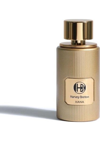 Xana Parfum 100 ml Erkek Parfüm