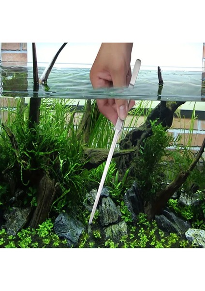 Uzun 30 cm Çelik Cımbız - Zarif ve Dayanıklı Tasarım