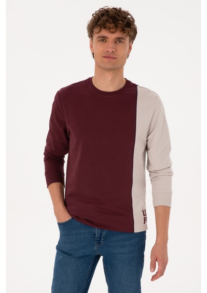 Erkek Plum Sweatshirt 50316316-VR177