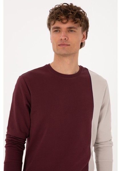 Erkek Plum Sweatshirt 50316316-VR177 fiyatları
