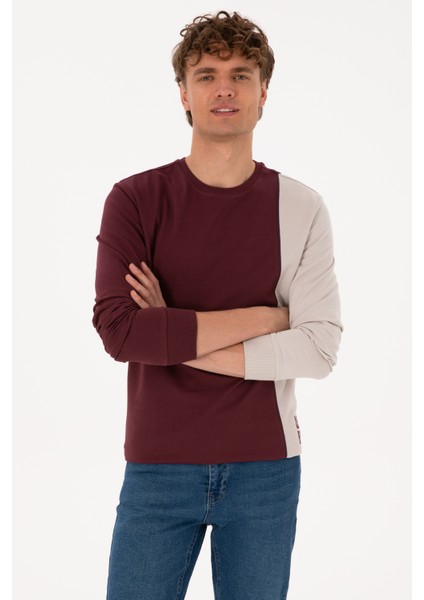 Erkek Plum Sweatshirt 50316316-VR177 modelleri