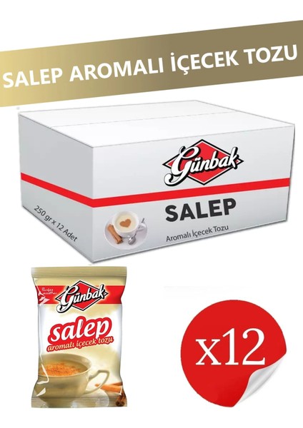 Salep Aromalı Içecek Tozu 250 gr x 12 Adet