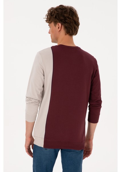 Erkek Plum Sweatshirt 50316316-VR177 indirimleri