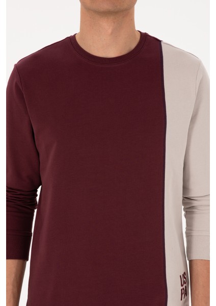 Erkek Plum Sweatshirt 50316316-VR177