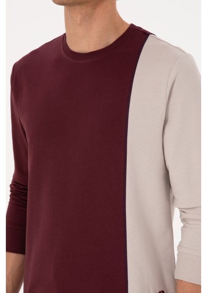 Erkek Plum Sweatshirt 50316316-VR177