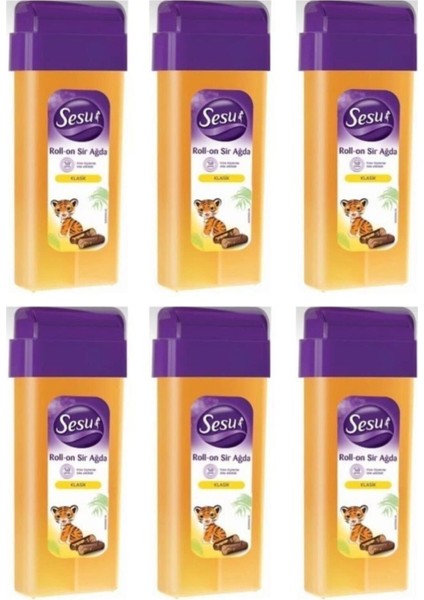 Normal Cilt Için 100 ml Kartuş, 6'lı Paket, Güçlü ve Temizleten Formül fiyatları