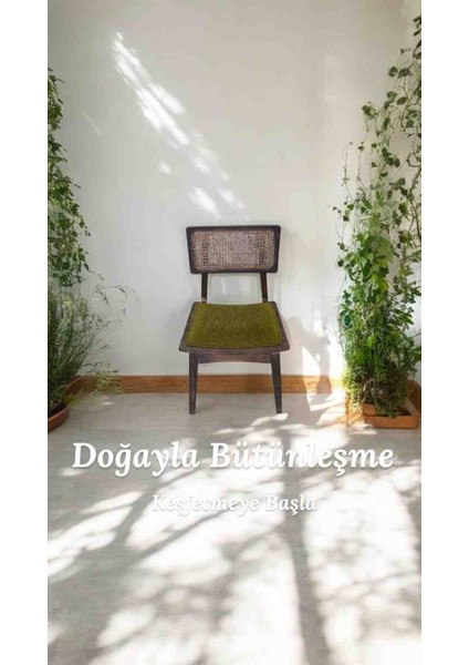 Ahşap Sandalye Hazeran Sırtlı Koyu Ceviz Renk fırsatları