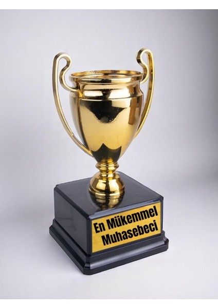 En Mükemmel Muhasebeci Baskılı Ödül Başarı Şampiyonluk Kupası