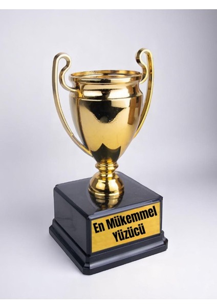 En Mükemmel Yüzücü Baskılı Ödül Başarı Şampiyonluk Kupası
