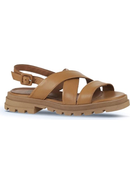 Taba Deri Kadın Düz Sandalet 01WY5501 01WY5501 modelleri