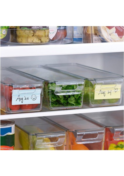 Klıppkaktus Saklama Kapı Şeffaf 32X10X8 cm fiyatları