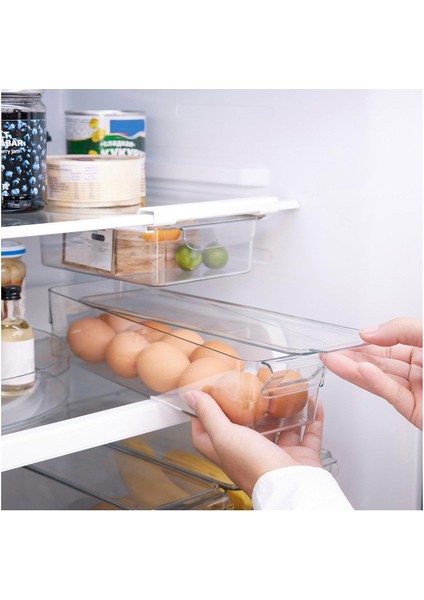 Klıppkaktus Saklama Kapı Şeffaf 32X10X8 cm indirimleri