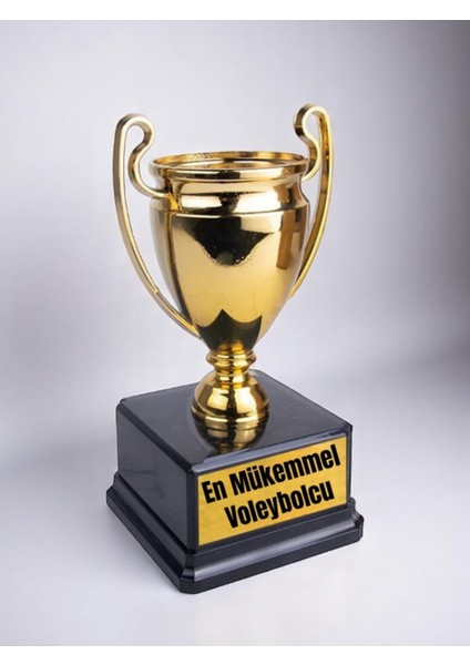 En Mükemmel Voleybolcu Baskılı Ödül Başarı Şampiyonluk Kupası