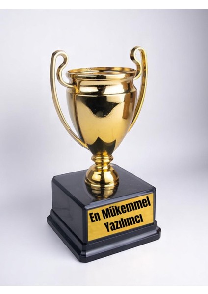 En Mükemmel Yazılımcı Baskılı Ödül Başarı Şampiyonluk Kupası